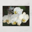 Suche nach floristen poster Frühling