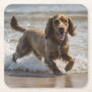Suche nach brauner hund untersetzer Glücklich