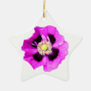 Suche nach mohnblume ornamente Weihnachten