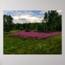 Suche nach vorstellung poster Natur