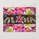 Suche nach aloha blumen postkarten Rosa