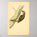 Suche nach strampler poster Vögel