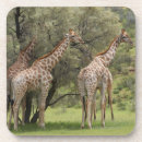 Suche nach antilope untersetzer Giraffe