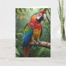Suche nach bunte papageien karten Natur
