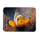 Suche nach aquarium magnete Wasser