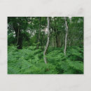 Suche nach farne postkarten Wald