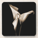 Suche nach calla lilien untersetzer Blumen