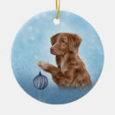 Suche nach schöne hunde ornamente Tiere