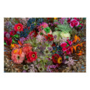 Suche nach gerbera poster Botanisch