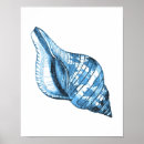 Suche nach weiße muschel poster Nautisch