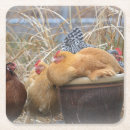 Suche nach huhn untersetzer Land