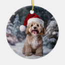 Suche nach cockapoo ornamente Welpe