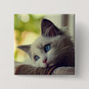 Suche nach farbbild buttons Nahaufnahme