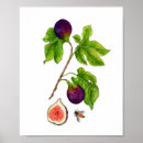 Suche nach vintage stil poster Botanisch