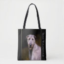 Suche nach nicht irisch taschen Hund