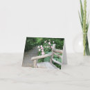 Suche nach garden karten Blume