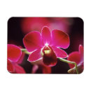 Suche nach orchidee magnete Rosa