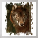 Suche nach lone wolf poster Wölfe