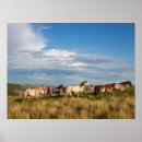 Suche nach pferde poster Sommer