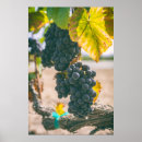 Suche nach weintraube poster Weingut