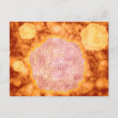 Suche nach virus poster Endemisch