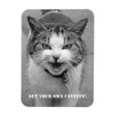 Suche nach erhalten magnete Katzen