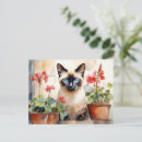 Suche nach siamesische katze postkarten Niedlich