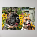 Suche nach haustiergeschenke kunst Hundegeschenke