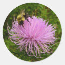 Suche nach wilde biene aufkleber Natur