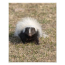 Suche nach niedliche gesichter poster Natur