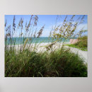 Suche nach seegras poster Strand