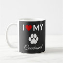 Suche nach coonhound Haustiere