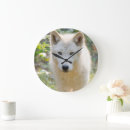 Suche nach wolf wanduhren Naturfotografie