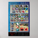 Suche nach betta poster Fish