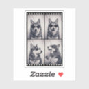 Suche nach husky aufkleber Huskies