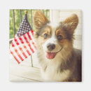 Suche nach american flag magnete Hund