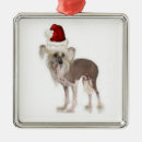 Suche nach zucht ornamente Welpen
