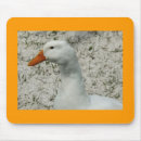 Suche nach weiße enten mousepads Vögel