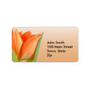 Suche nach tulpen rücksende aufkleber Orange