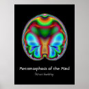 Suche nach metamorphose poster Schmetterling