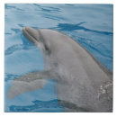 Suche nach blauer delphin fliesen Delfin