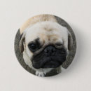 Suche nach kawaii welpe buttons Mops