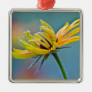 Suche nach blumengarten ornamente Gardering