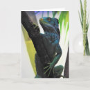 Suche nach leguan karten Reptilien