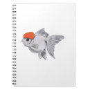 Suche nach oranda Fische