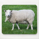 Suche nach niedliche schafe mousepads Lamm