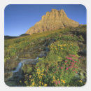 Suche nach mt aufkleber Wiese
