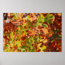 Suche nach tapeten poster Rot