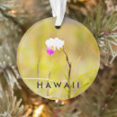 Suche nach blume ornamente Hawaii