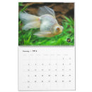 Suche nach gold kalender 2016